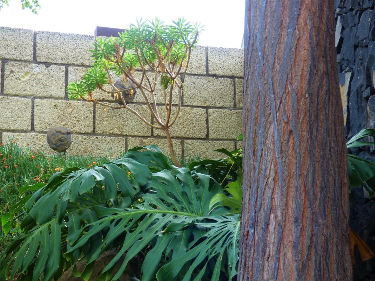 Eco Suites Caves La Laguna  Bagian luar foto